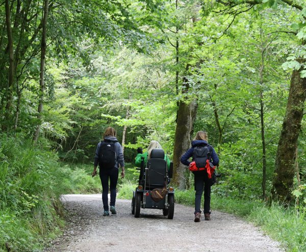 Three People Walking In The Woods